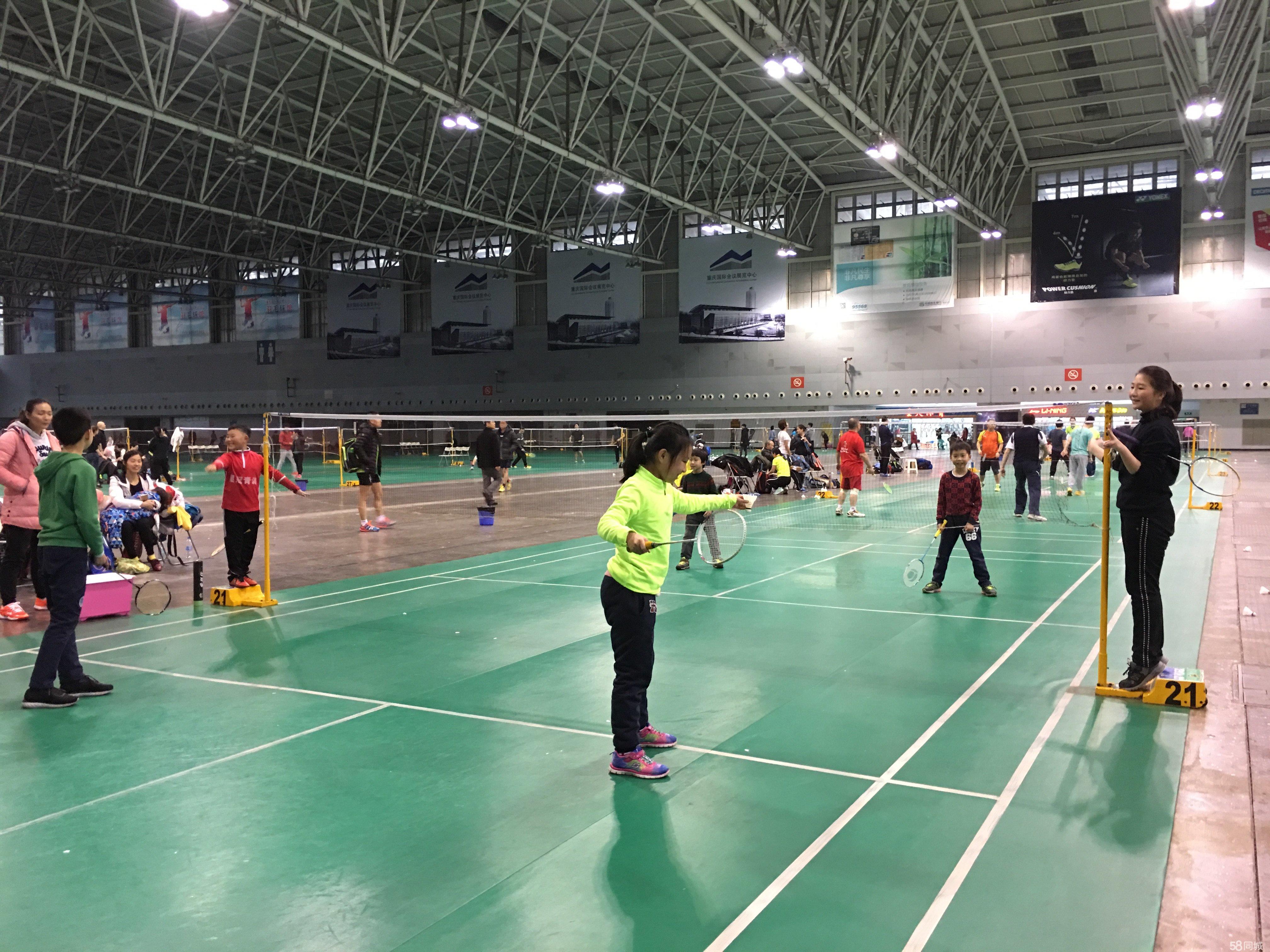 果断重塑轮 果断重塑轮