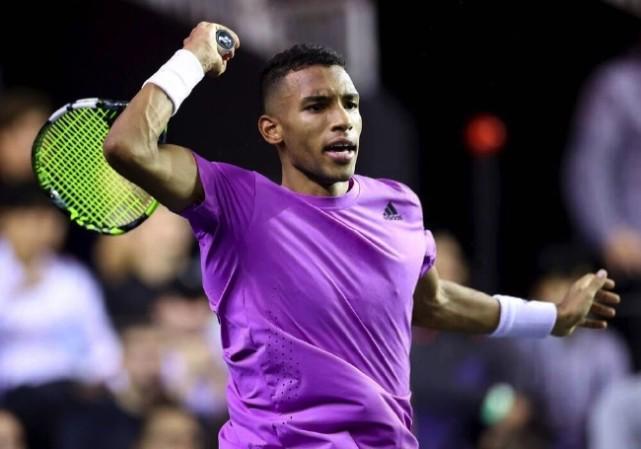 迷和专家的